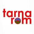Uniunea Tinerilor Romi din Moldova Tarna Rom